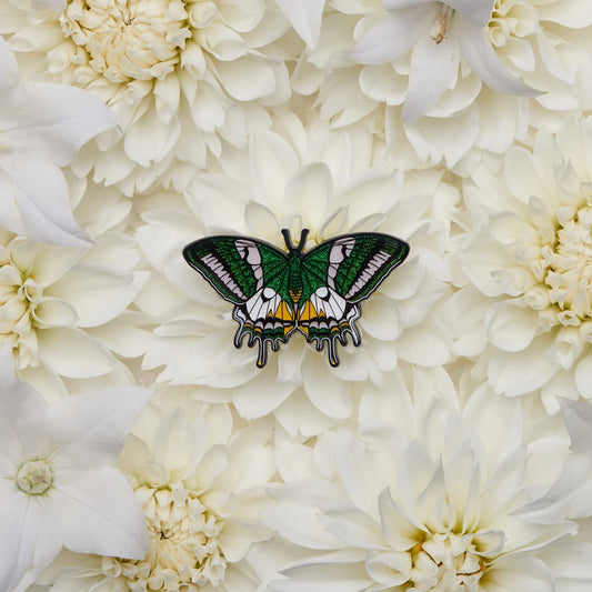 Isabella silkworm Brooch