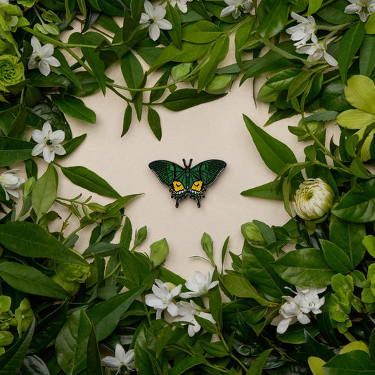 Isabella silkworm Brooch